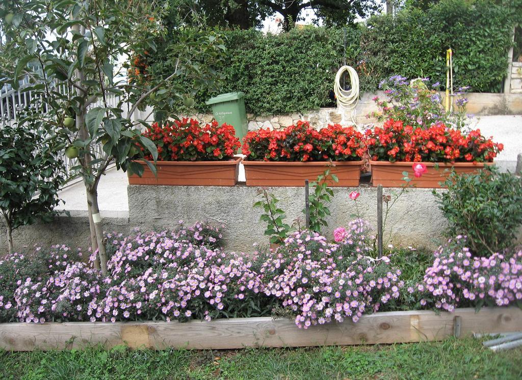 Apartments Adelita Porec Camera foto