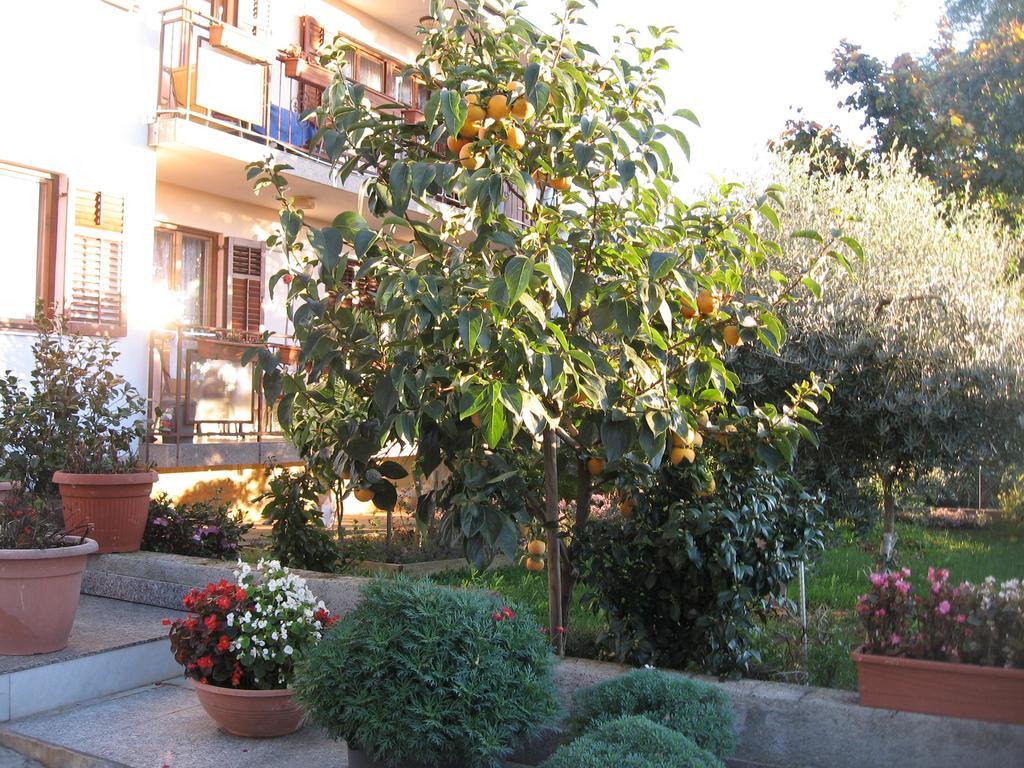 Apartments Adelita Porec Esterno foto